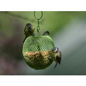 Apple peanut feeder