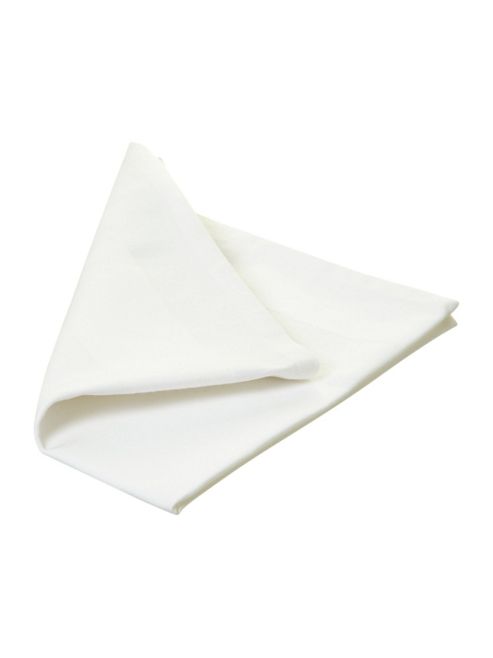 Image of Casa Couture Pavilion Napkins Set Of 4