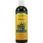 Neem Oil Shampoo