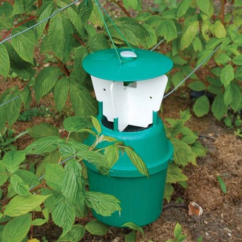Image of Raspberry Beetle Trap - 1 Refill Pack