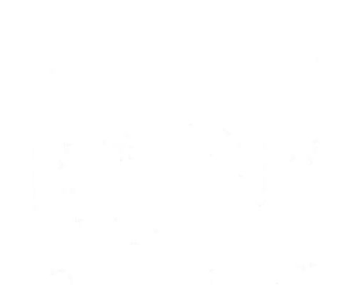 Image of Tissue - 24 - White