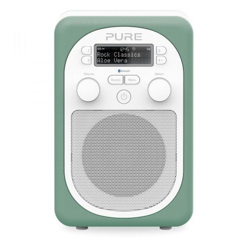 Image of Pure Evoke D2 Mio With Fm, Dab And Bluetooth In Aloe