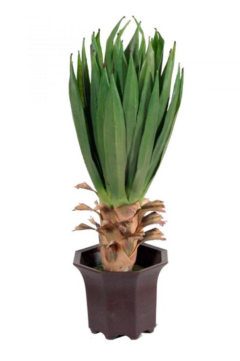 Image of Artificial 50cm Yucca Plant