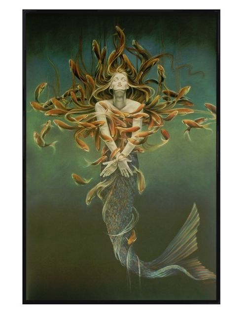 Image of Sheila Wolk Gloss Black Framed Metamorphosis Poster