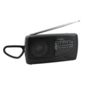Lloytron 3 Band Portable Sports Radio