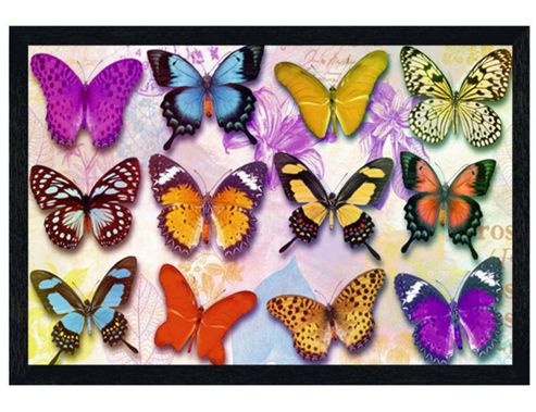 Image of Butterflies Black Wooden Framed Exquisite Beauty Poster