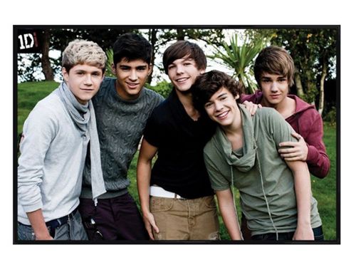 Image of One Direction Gloss Black Framed Beautiful Boys In The Garden 1d Poster