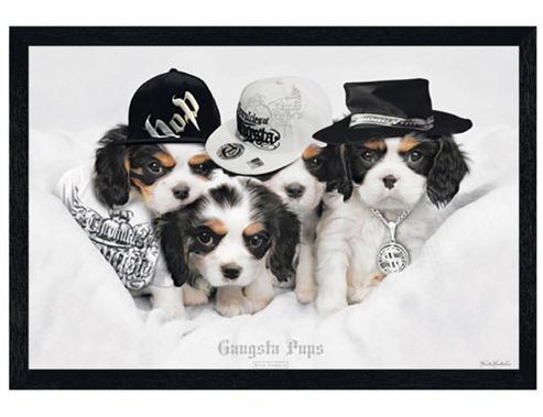 Image of Keith Kimberlin Black Wooden Framed Gangsta Pups Poster