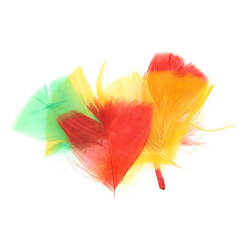 Image of Coloured Feathers - Assorted Colours 28g