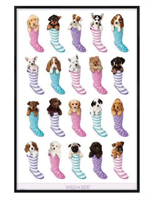 Image of Wildside Gloss Black Framed Pups In Wellies Poster