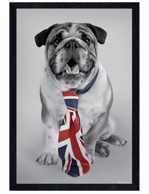 Image of Rachael Hale Black Wooden Framed George Poster