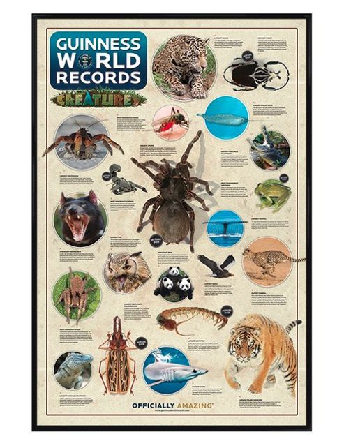 Image of Guinness Book Of World Records Gloss Black Framed Extraordinary Creatures Poster