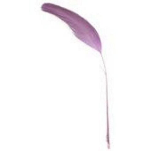Image of Stripped Coque Purple 5 Pk