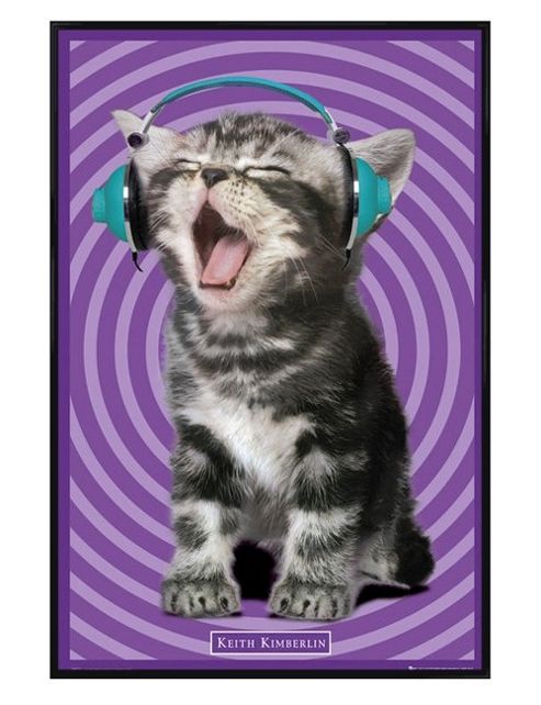 Image of Keith Kimberlin Gloss Black Framed Dj Kitten Poster