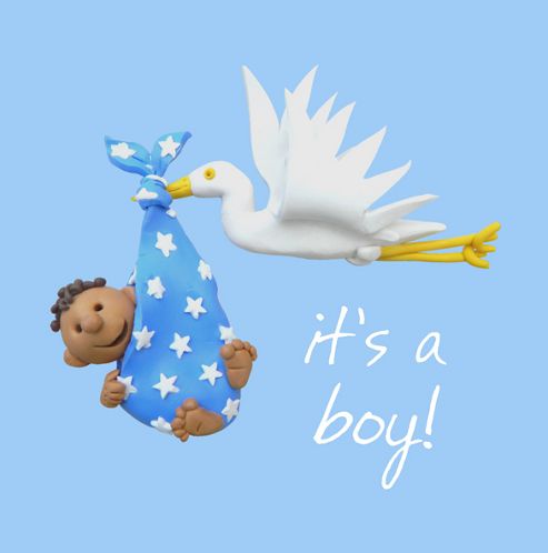 Image of Holy Mackerel New Arrival Boy Greetings Card