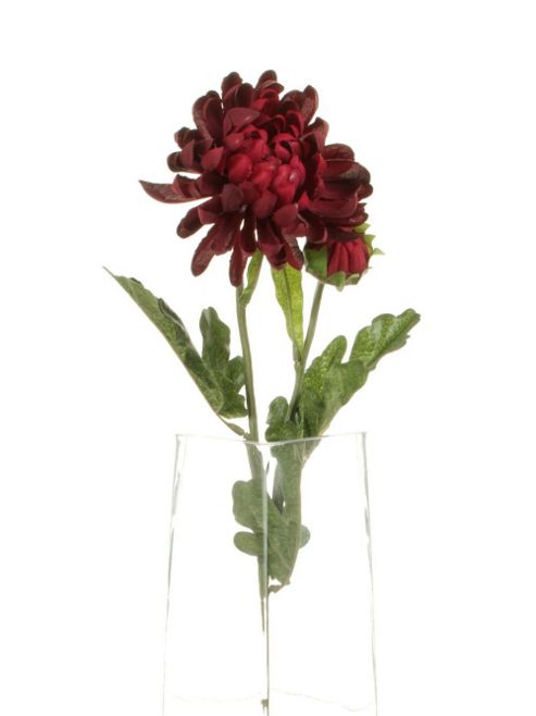 Image of Artificial 55cm Single Stem Double Headed Burgundy Chrysanthemum