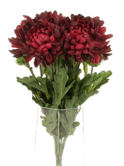 Image of Artificial 55cm Single Stem Double Headed Burgundy Chrysanthemum X 6