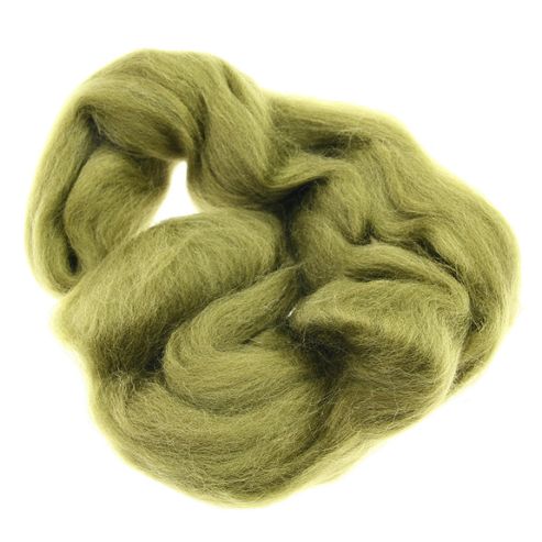 Image of Dhf-r26 Moss 20g Falkland Wool Tops