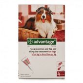Advantage 250 for Medium to Large Dogs (4 pipettes)