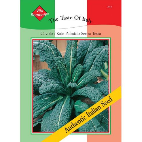 Image of Kale 'cavolo Palmizio Senza Testa' - Vita Sementi&reg; Italian Seeds - 1 Packet (2500 Kale Seeds)