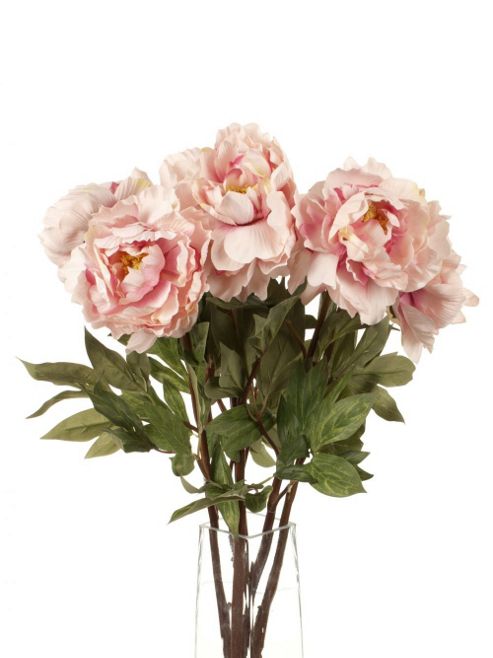 Image of Artificial 78cm Single Stem Pale Pink Peonies X 6
