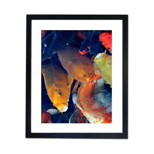 Image of Culture Decor Rainbow Koi Wall Art