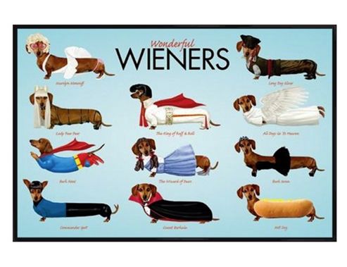 Image of Sausage Dog Style Gloss Black Framed Wonderful Wieners Poster