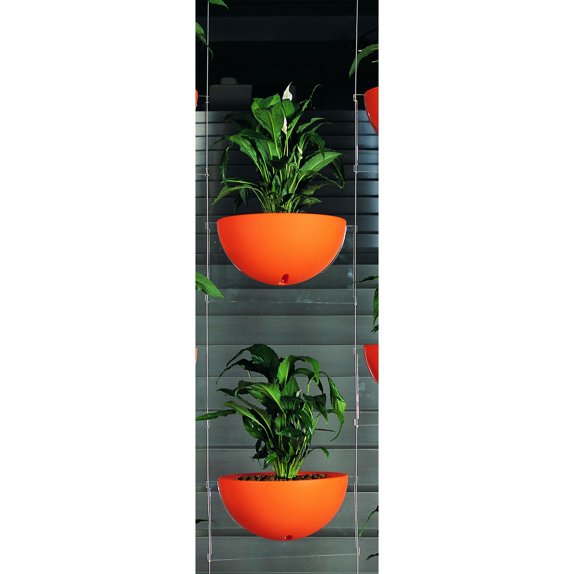 Emporium Positive Design Eebavoglio Double Flower Tray - Orange at Tesco Direct