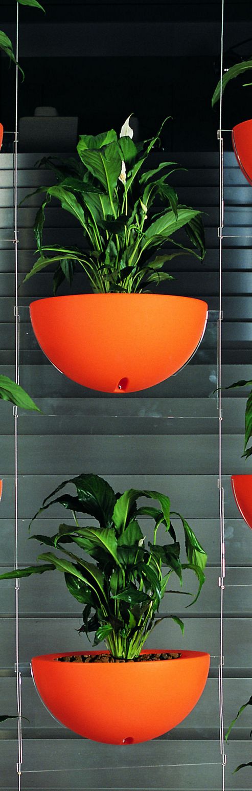 Image of Emporium Positive Design Eebavoglio Double Flower Tray - Orange