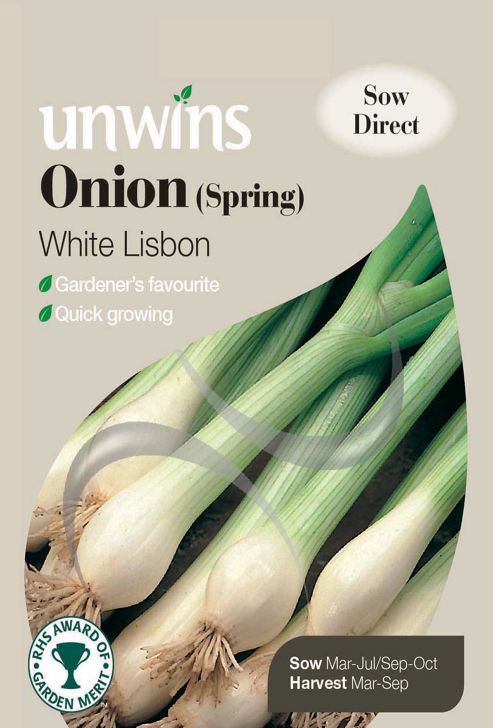 Image of Onion Spring White Lisbon