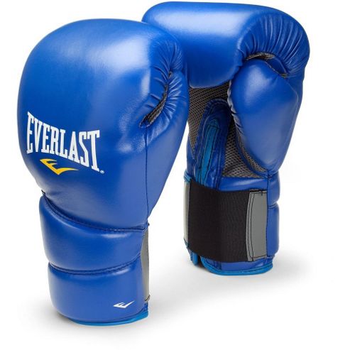 Image of Everlast Protex 2 Training Boxing Glove - Blue