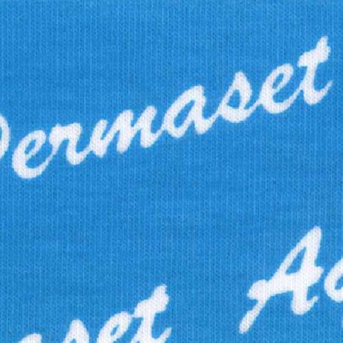 Image of Permaset Aqua 300ml Light Blue