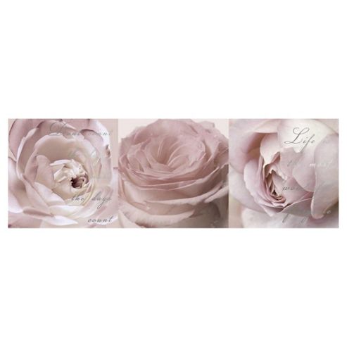 Image of Rose Triptych, Set Of Three 20x60cm