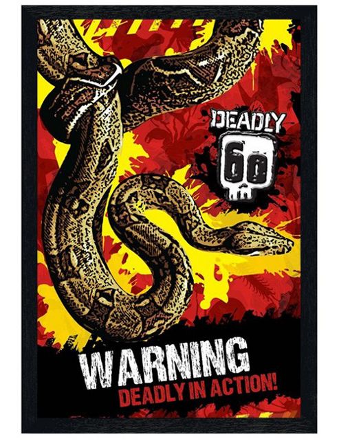 Image of Deadly 60 Black Wooden Framed Warning! Poster