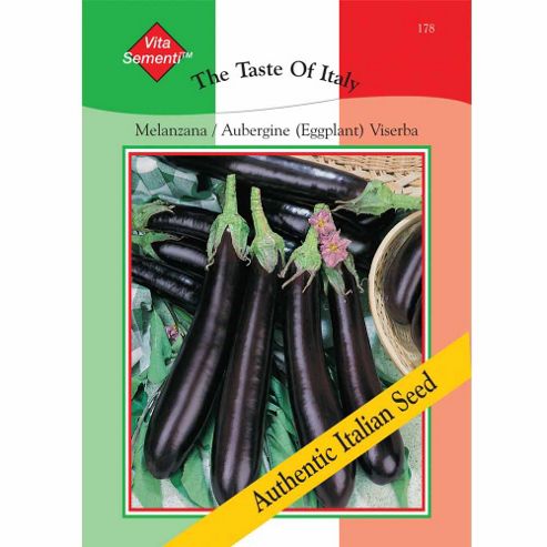 Image of Aubergine 'viserba' - Vita Sementi&reg; Italian Seeds - 1 Packet (660 Aubergine Seeds)