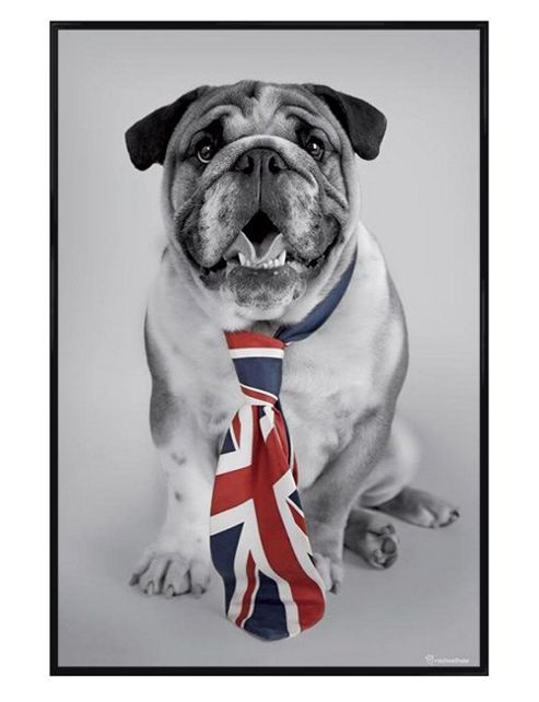 Image of Rachael Hale Gloss Black Framed George Poster