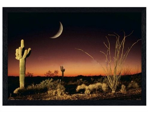 Image of Arizona Landscape Black Wooden Framed Desert Silhouette Poster
