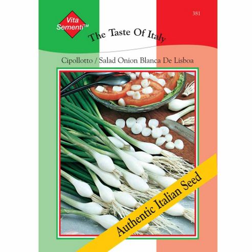 Image of Spring Onion 'cipollotto Blanca De Lisboa' - Vita Sementi&reg; Italian Seeds - 1 Packet (1400 Spring Onion Seeds)