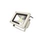 Professional 10W LED Floodlight