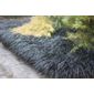 black mondo (Ophiopogon planiscapus 'Nigrescens')