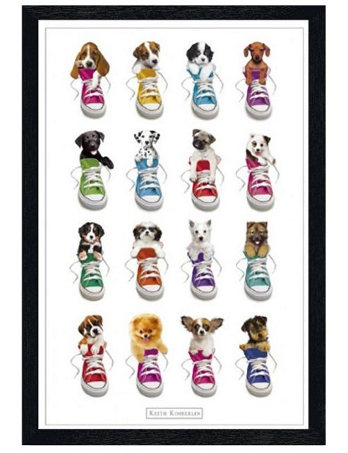Image of Keith Kimberlin Black Wooden Framed Puppies In Trainers Poster