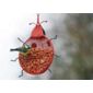Ladybird peanut feeder