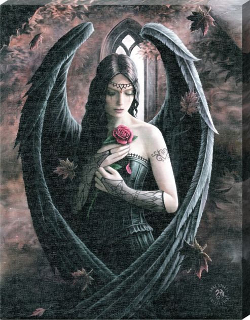 Image of Anne Stokes Angel Rose Canvas Print