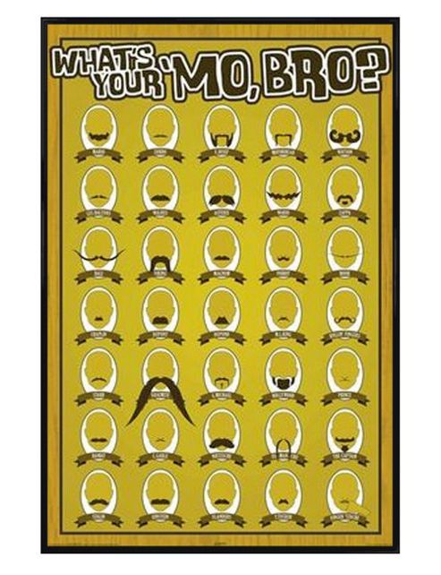 Image of Moustache Types Gloss Black Framed What's Your Mo Bro? Poster