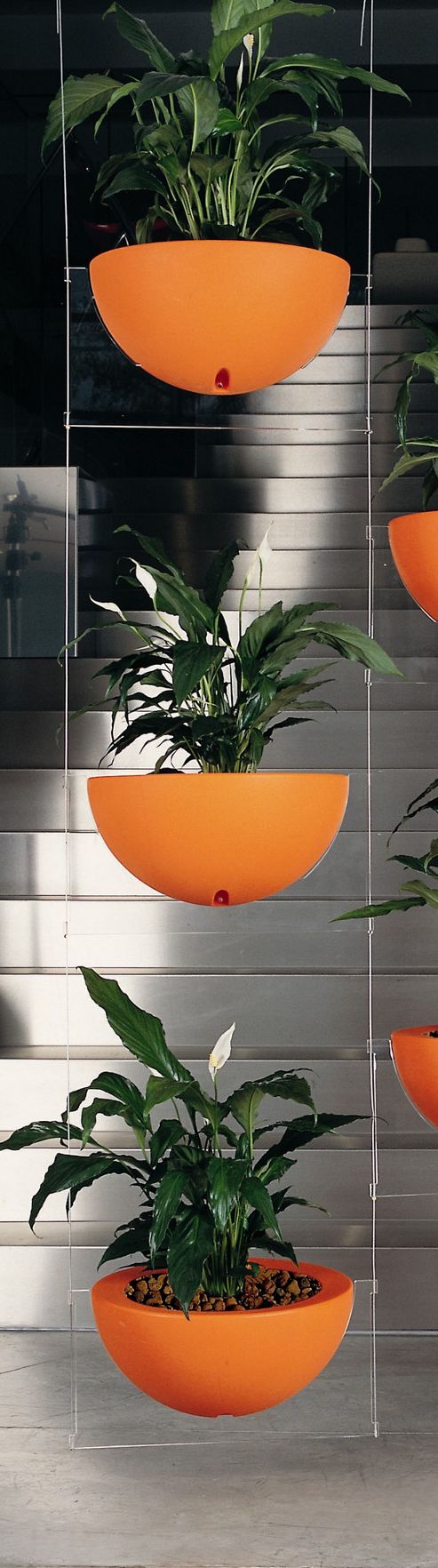 Image of Emporium Positive Design Eebavoglio Triple Flower Tray - Orange