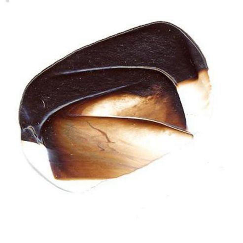 Image of W&n - Gac 60ml Burnt Umber