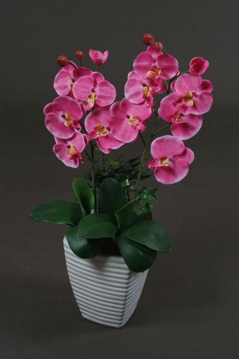 Image of Artificial 110cm Double Stem Deep Pink Phalaenopsis Orchid In Ceramic Pot
