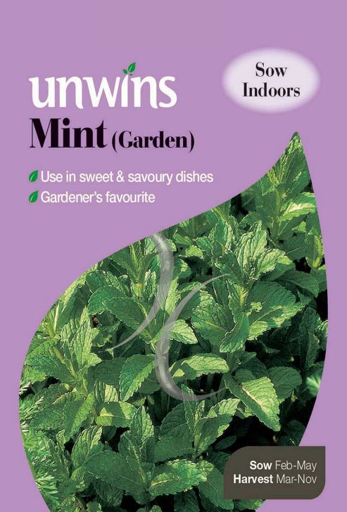 Image of Herb Mint