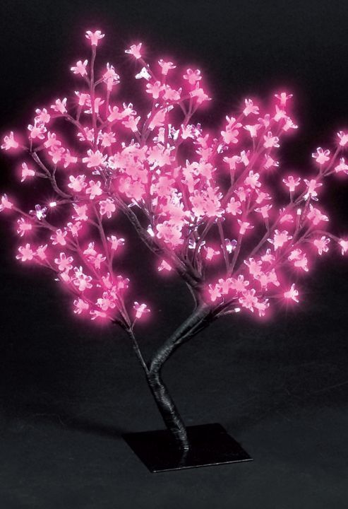 Image of Snowtime Cherry Blossom Tree - Shocking Pink - 67 Cm H