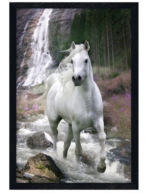 Image of Bob Langrish Black Wooden Framed Horse In A Waterfall Poster